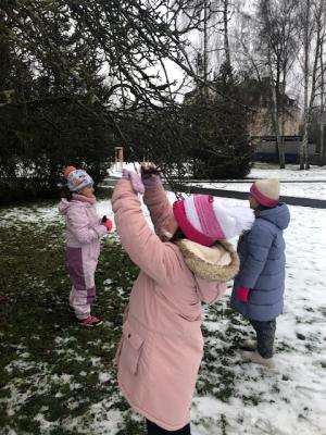 Vycházka k "Ptačímu stromu"